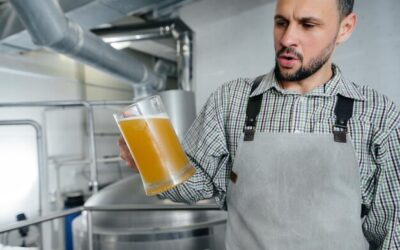 Jak zrobić domowe piwo – fascynujący świat piwnej alchemii