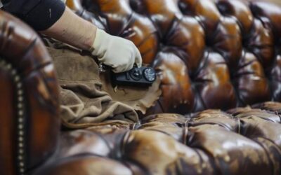 Jak wyprać skórę baranią bez ryzyka jej uszkodzenia?