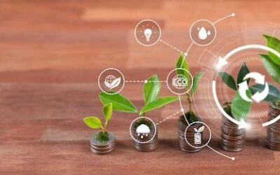 Fundusz zrównoważony co to jest i jak działa?