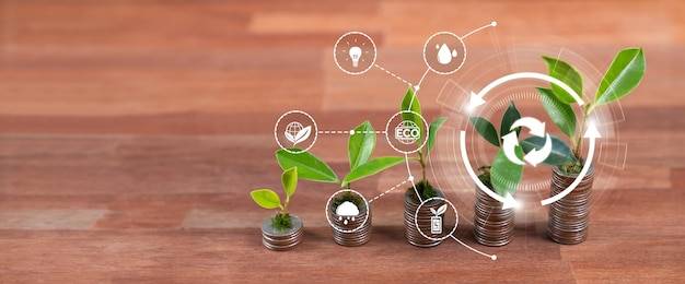 Fundusz zrównoważony co to jest i jak działa?